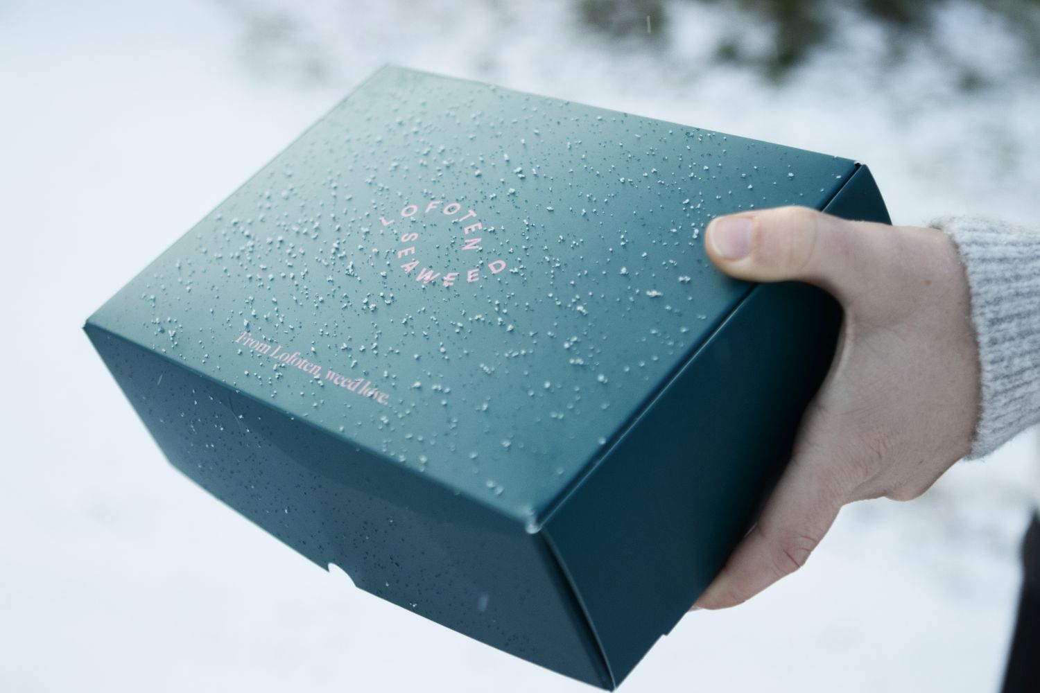 Geschenkboxen